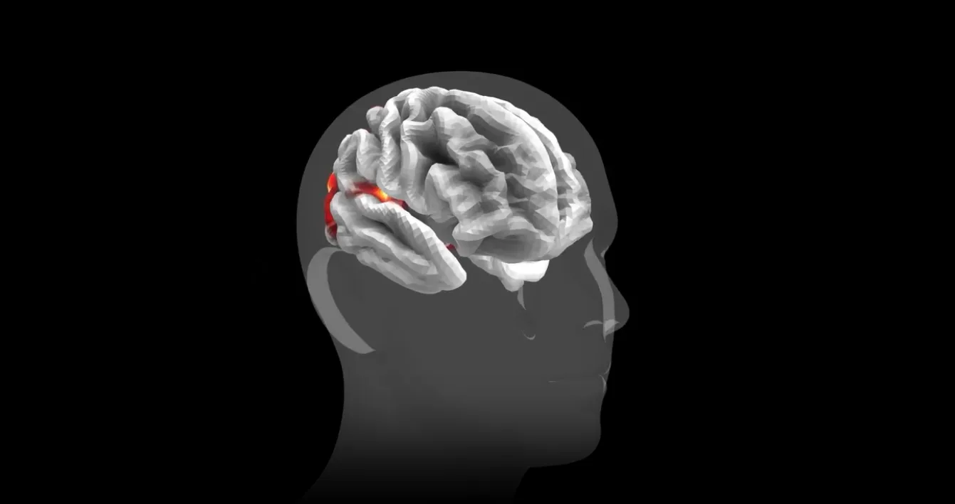 Neural activation heatmap showing brain regions responding to advertising stimuli